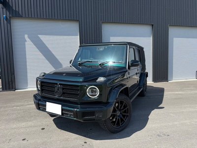 2019 Mercedes-BENZ G-CLASS — фото 1