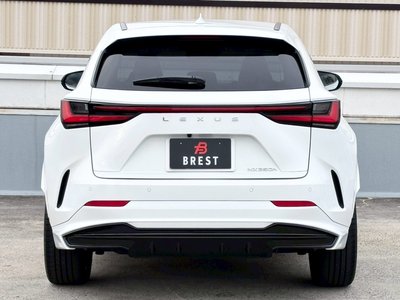 LEXUS NX - 9
