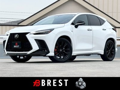LEXUS NX - 1