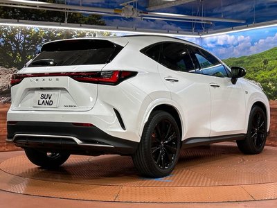 2023 Lexus NX — миниатюра 17