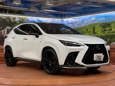 2023 Lexus NX — миниатюра 16
