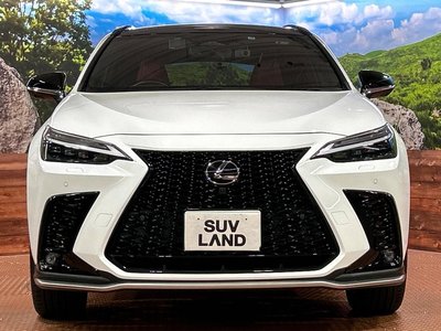 2023 Lexus NX — миниатюра 14