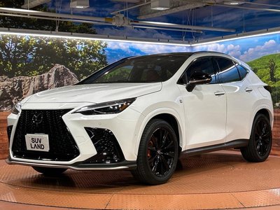 2023 Lexus NX — миниатюра 68