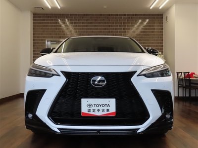 LEXUS NX - 2