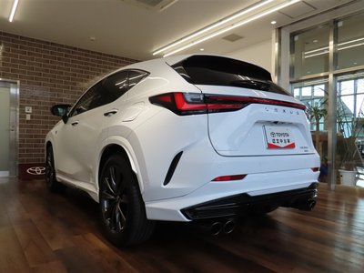 LEXUS NX - 6