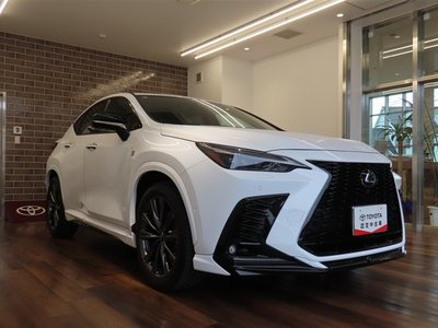 LEXUS NX - 3