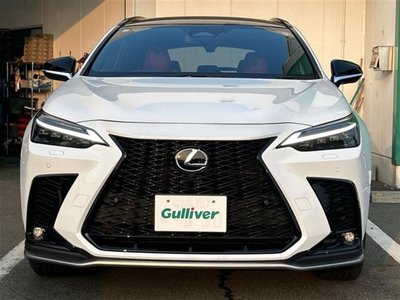 2025 Lexus NX 缩略图 17