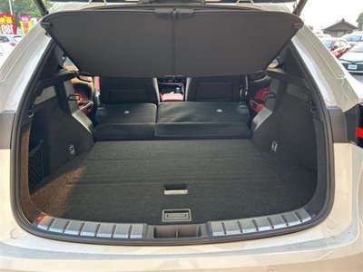 2025 Lexus NX 缩略图 23