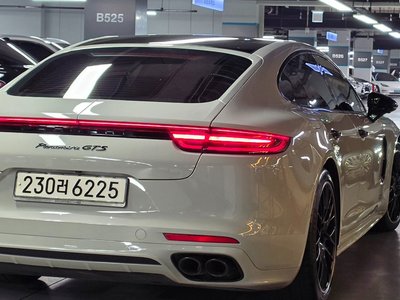 2020 Porsche PANAMERA 照片 10