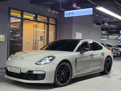 2020 Porsche PANAMERA 照片 5