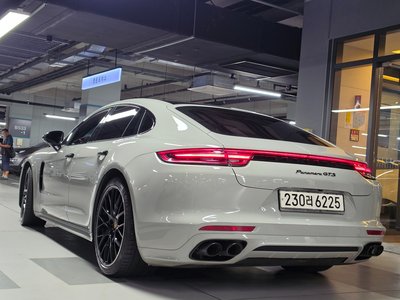 2020 Porsche PANAMERA 照片 8