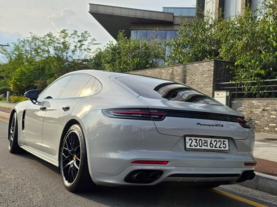 2020 Porsche PANAMERA 照片 6