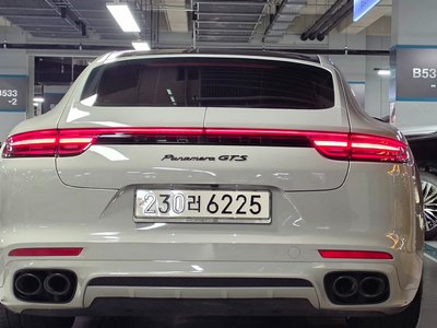 2020 Porsche PANAMERA 缩略图 12