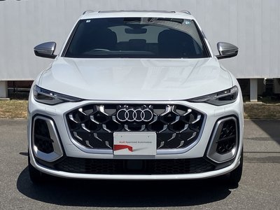 2025 AUDI SQ5 照片 7