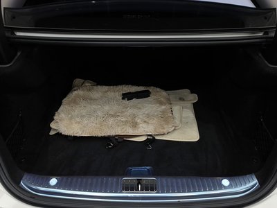 2021 Mercedes-BENZ S-CLASS 缩略图 20