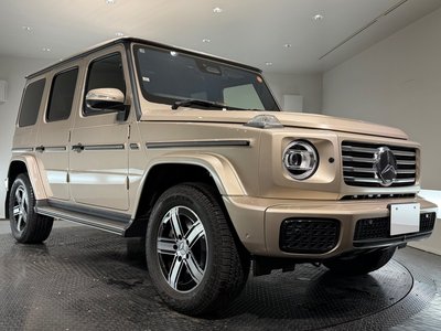 MERCEDES-BENZ G-CLASS - 5