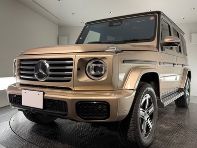 MERCEDES-BENZ G-CLASS - 1