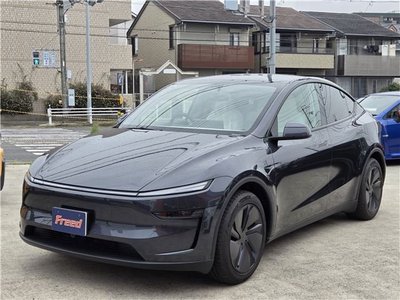 TESLA MODEL Y - 1