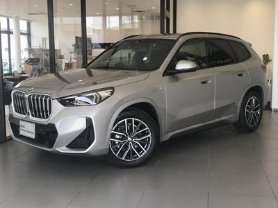 BMW X1 - 1