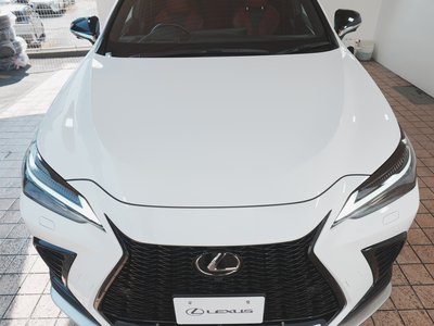 2024 Lexus NX 缩略图 12