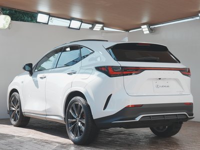 2024 Lexus NX 缩略图 69