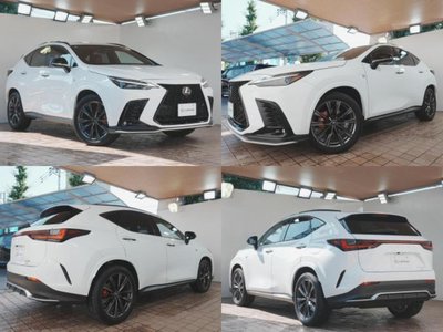 2024 Lexus NX 照片 3