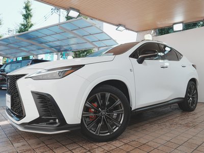 2024 Lexus NX 缩略图 67