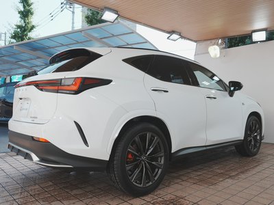 2024 Lexus NX 缩略图 68