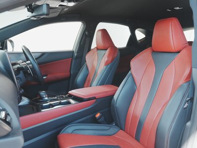 2024 Lexus NX 缩略图 39