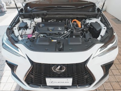 2024 Lexus NX 缩略图 13