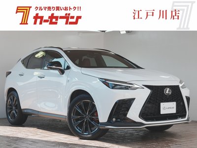 2024 Lexus NX 照片 1
