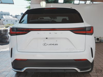 2024 Lexus NX 照片 10