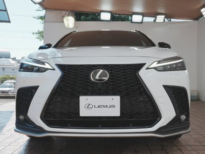 2024 Lexus NX 照片 9