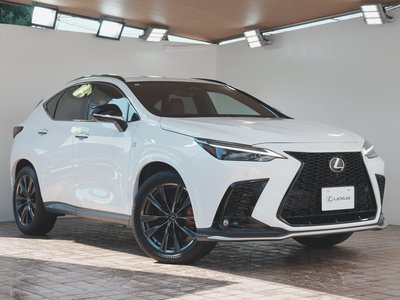 2024 Lexus NX 缩略图 66