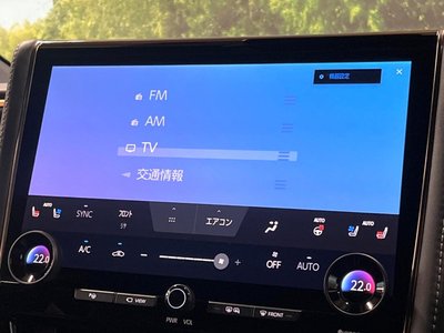 2023 TOYOTA ALPHARD thumbnail 24