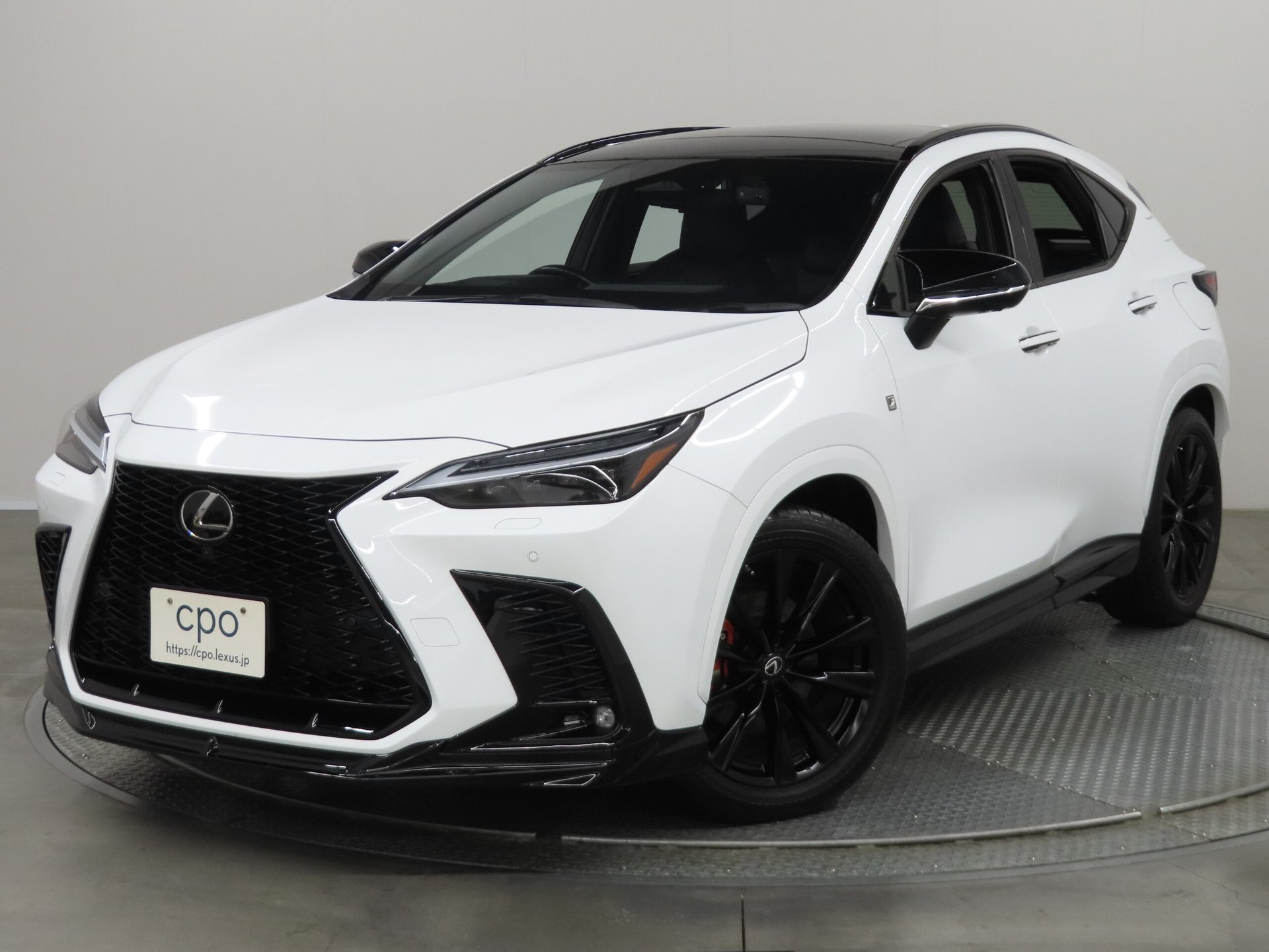 LEXUS NX - View 1