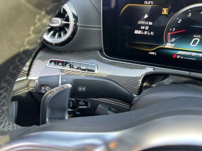 2019 Mercedes-BENZ GT AMG 缩略图 52
