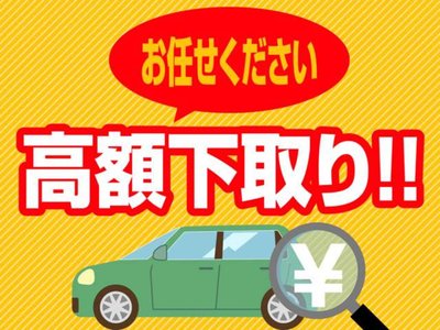 2023 Toyota ALPHARD thumbnail 59