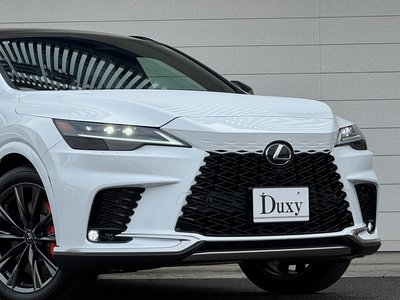LEXUS RX - 10