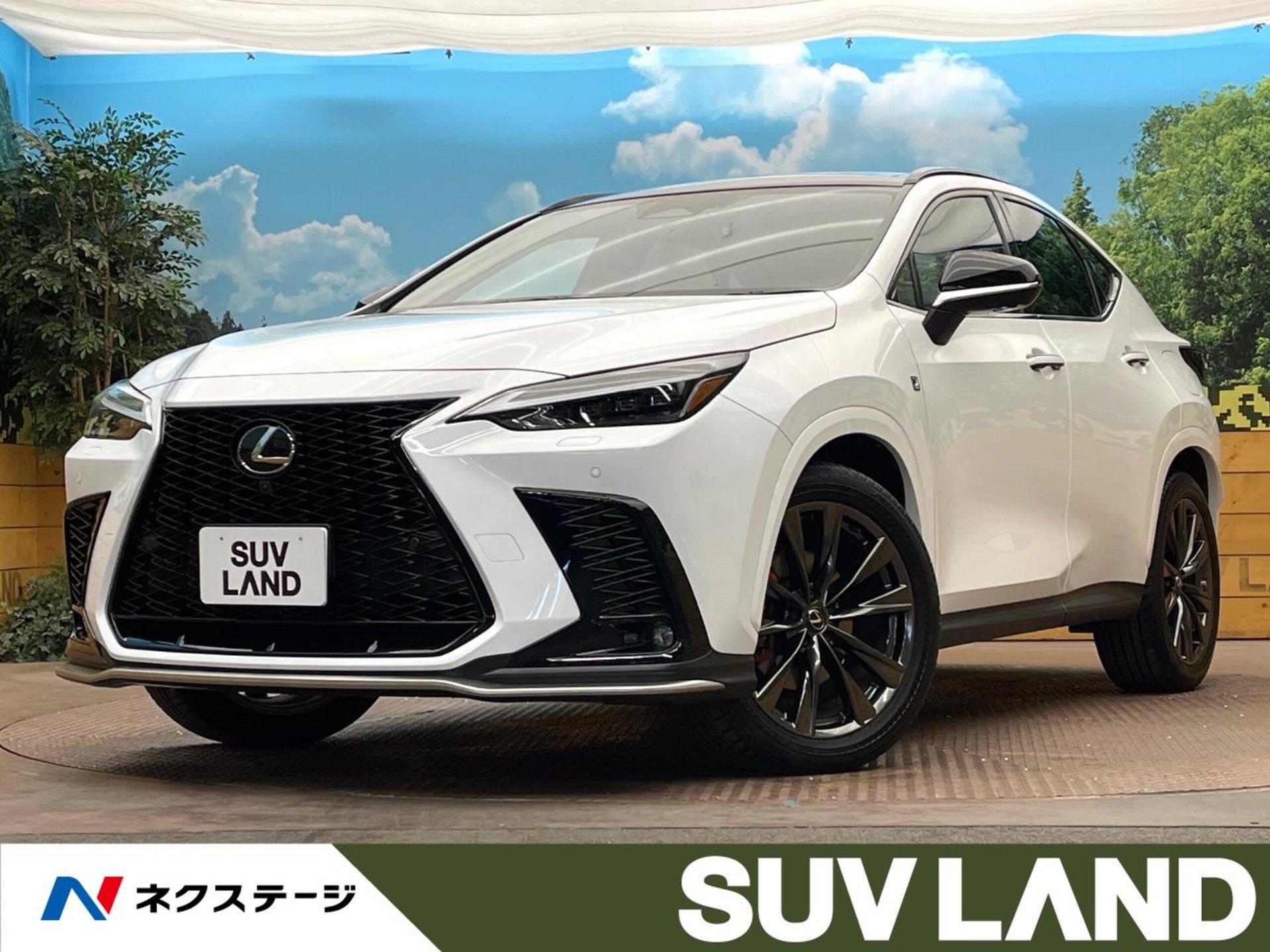 LEXUS NX - View 1