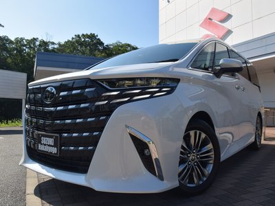 2025 Toyota ALPHARD 缩略图 33