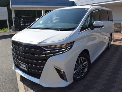 2025 Toyota ALPHARD 缩略图 32