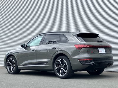 2023 AUDI Q8 E-TRON 缩略图 25