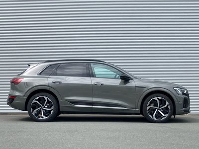 2023 AUDI Q8 E-TRON 缩略图 22