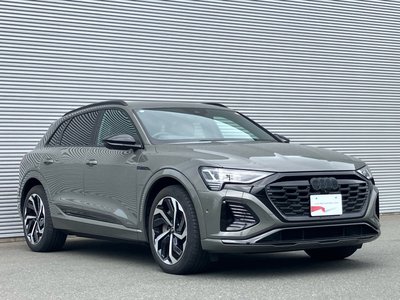 2023 AUDI Q8 E-TRON 缩略图 20