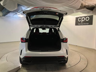 LEXUS NX - 9