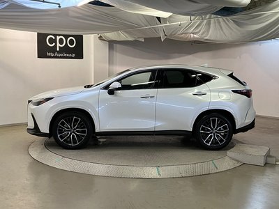 LEXUS NX - 10