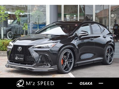 صورة 1 لـ 2026 Lexus NX