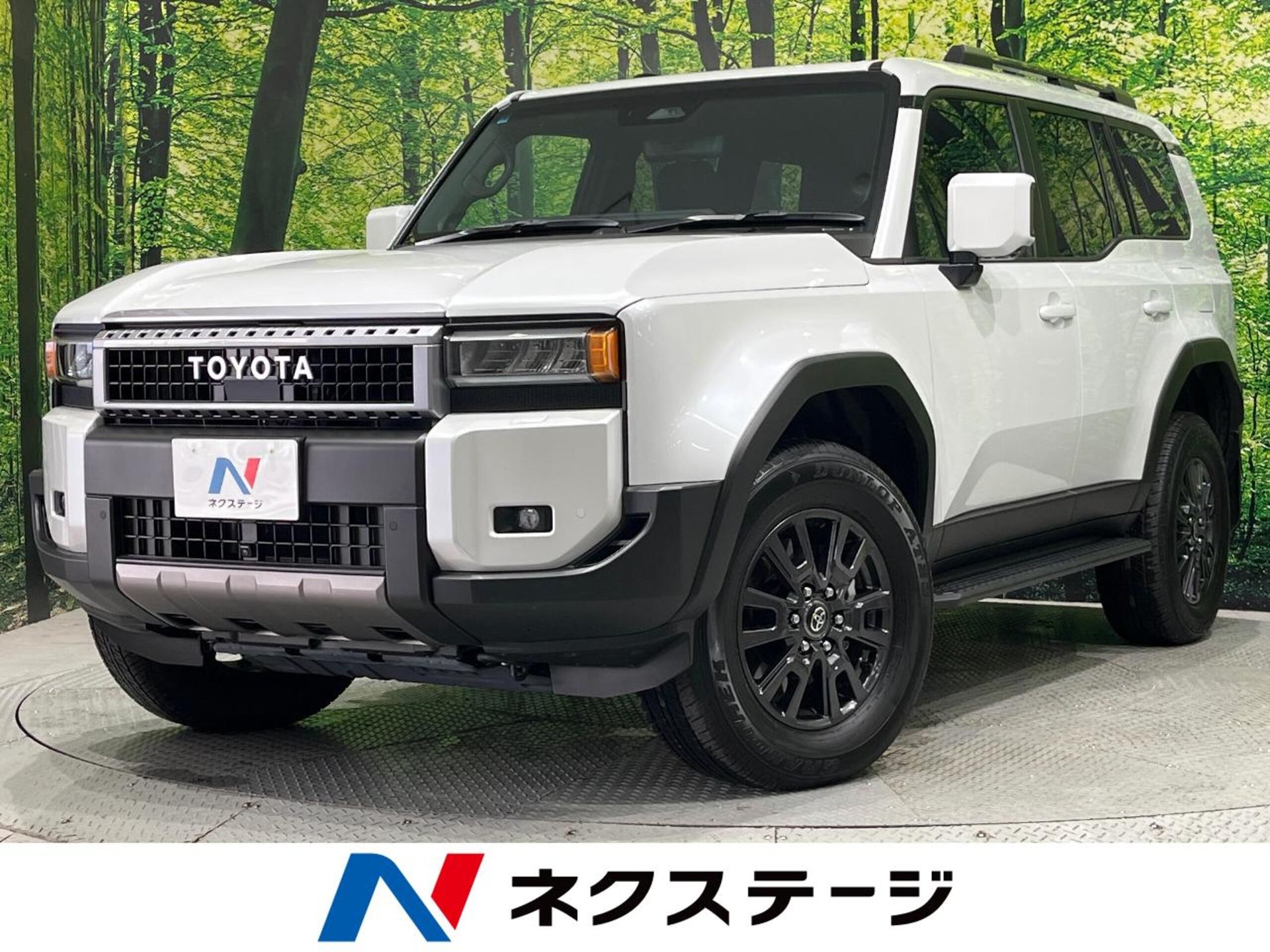 TOYOTA LAND CRUISER 250 - View 1