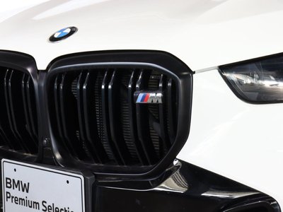 2023 BMW X5 照片 4